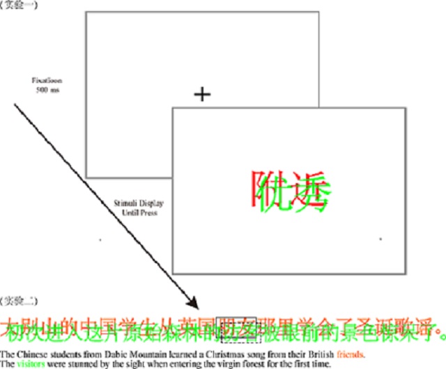 图1:实验流程图